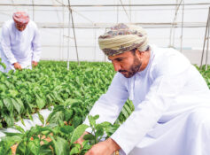 Al Wusta unveils 16 agri investment projects to boost food security