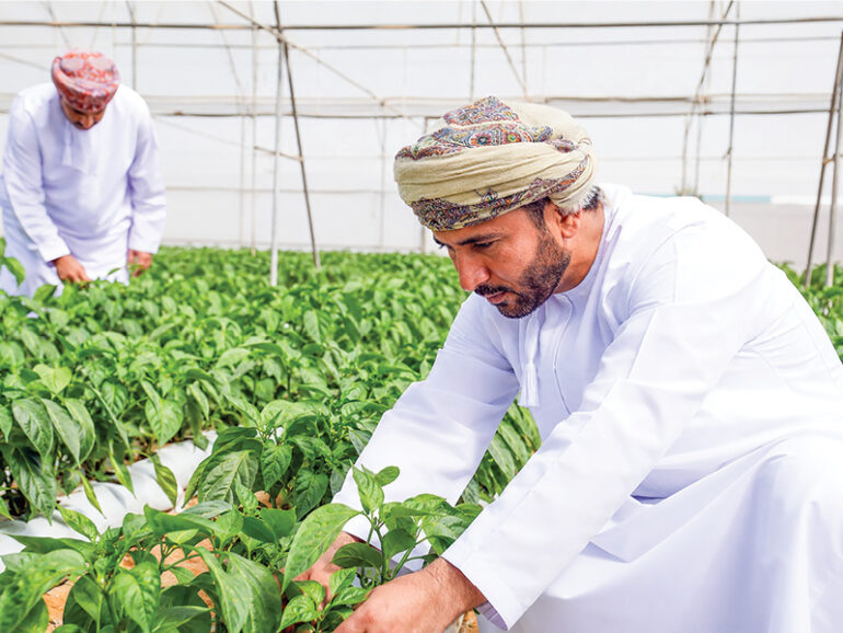 Al Wusta unveils 16 agri investment projects to boost food security