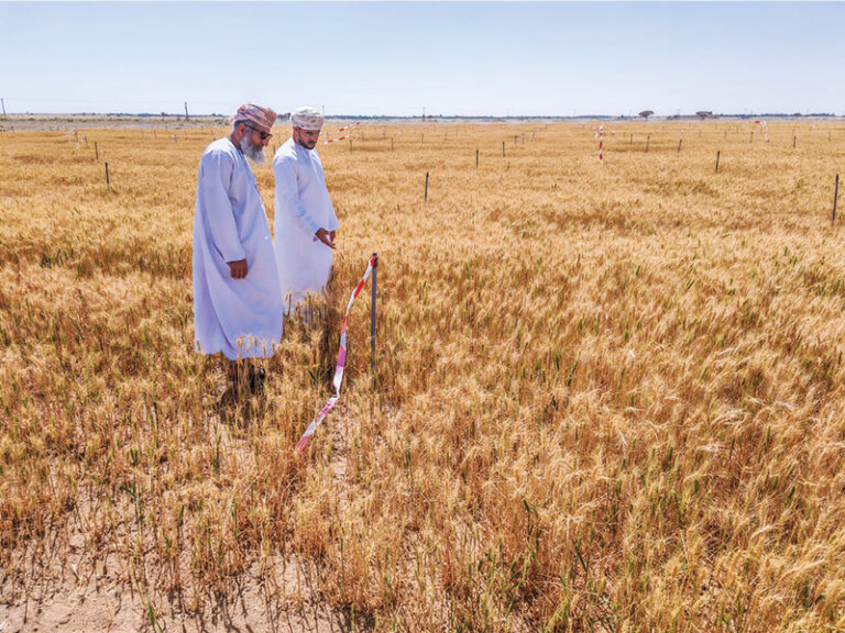 OCCI to host forum linking farmers with food manufacturers