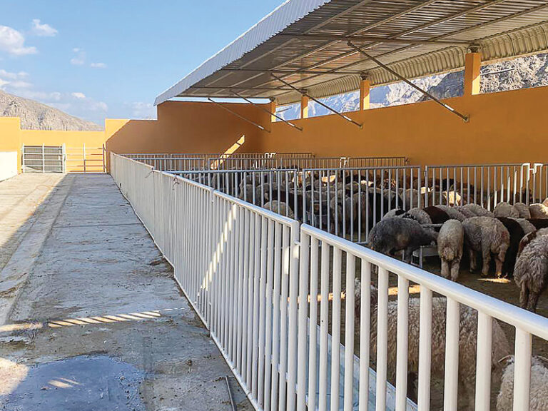 Musandam drives food security push with RO16.6mn investments 