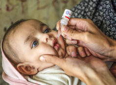 Oman marks over 30 years free of polio; WHO commends success 