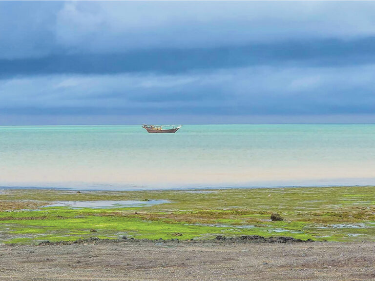 Masirah Bay: Next eco-tourism frontier