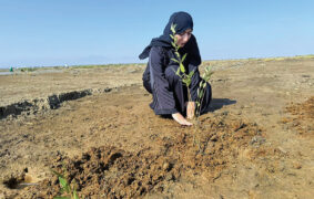 National Strategy to Combat Desertification 2040 Oman