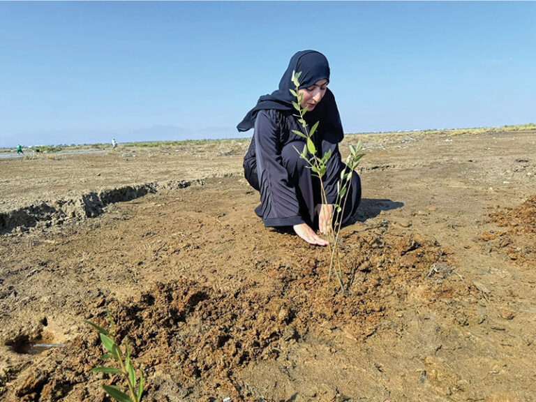 National Strategy to Combat Desertification 2040 Oman