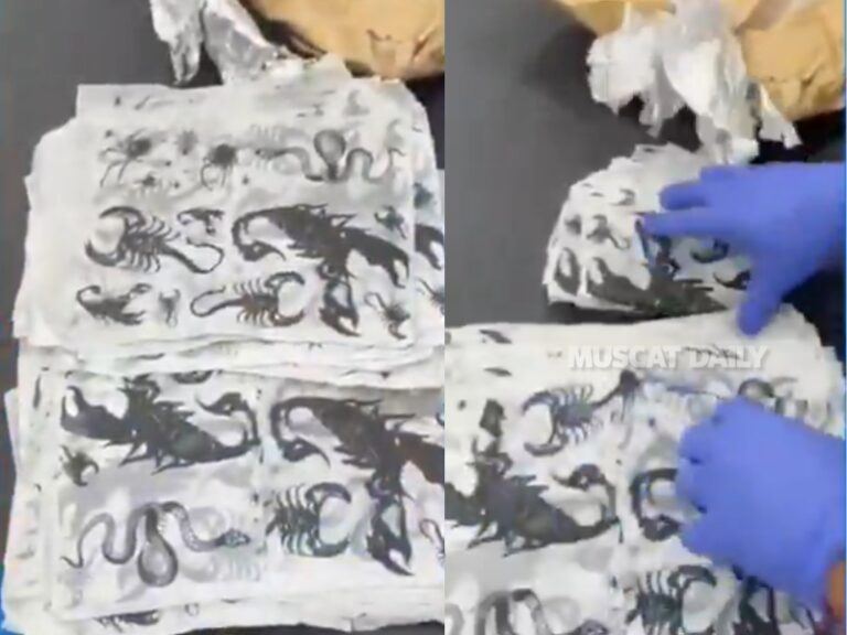 Oman Customs seizes 50 narcotic-saturated sheets in postal parcel