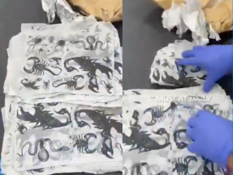 Oman Customs seizes 50 narcotic-saturated sheets in postal parcel