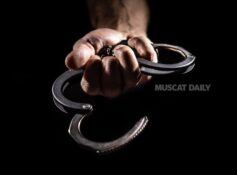 Two expats arrested for theft and illegal residency