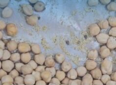 Authorities destroy 50kg of unfit nuts and dates in Suwaiq