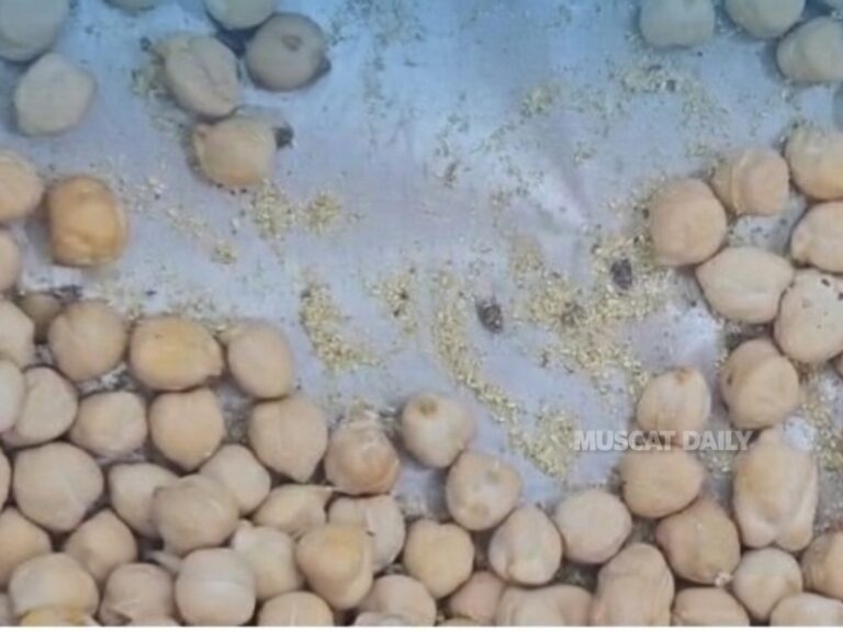 Authorities destroy 50kg of unfit nuts and dates in Suwaiq