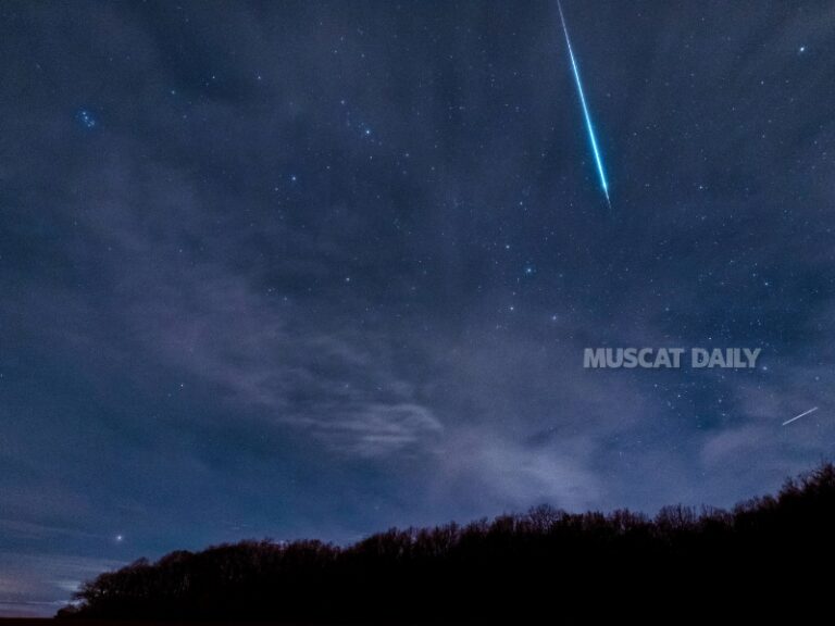 Delta Aquariid meteor shower reaches peak visibility on July 30