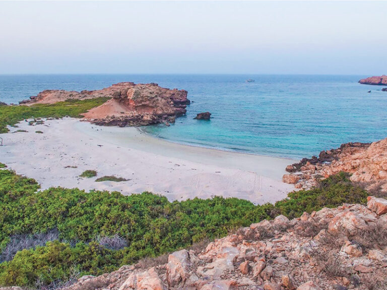 Oman steps up environmental drive