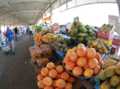 Engineering solutions could halve post-harvest losses: SQU study