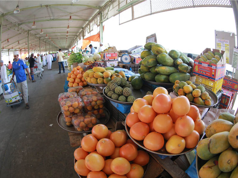 Engineering solutions could halve post-harvest losses: SQU study
