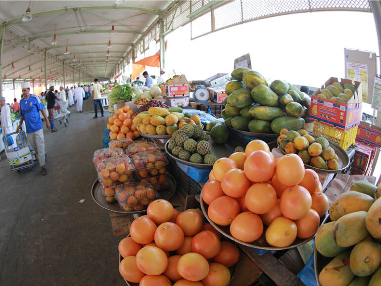 Engineering solutions could halve post-harvest losses: SQU study