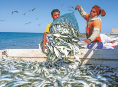 MAFWR unveils six investment opportunities to boost fisheries sector