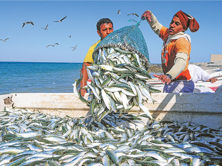 MAFWR unveils six investment opportunities to boost fisheries sector