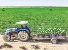New labour mobility service to boost Dhofar’s Najd agricultural season