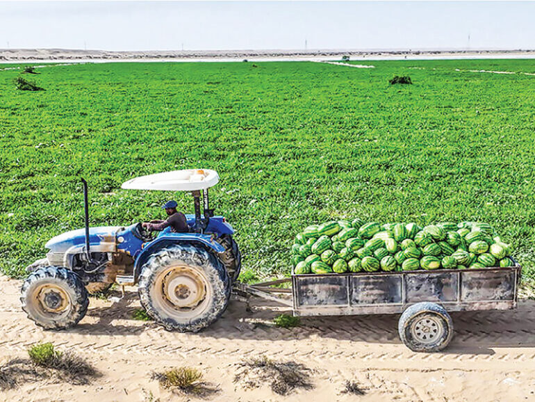 New labour mobility service to boost Dhofar’s Najd agricultural season