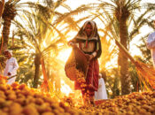 Jalan Bani Bu Hassan hosts third Mabsali harvest forum