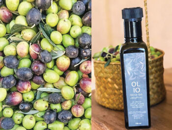 Omani olive oil brand wins three global awards