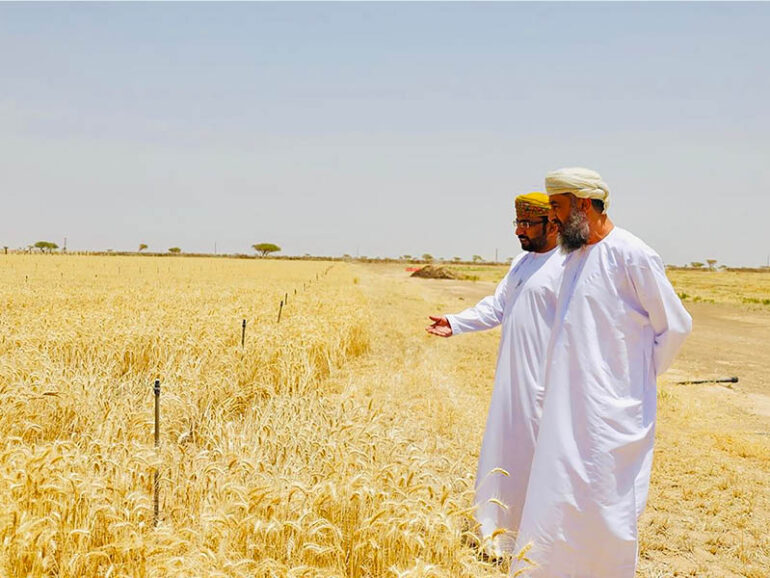 Buraimi offers 153 food security investment projects