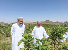 First integrated fruit farm takes root in Buraimi