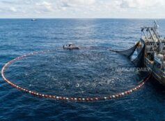 Ministry warns against using purse seine nets for fishing