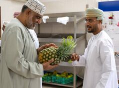 Razat Farm achieves pineapple cultivation breakthrough in Dhofar