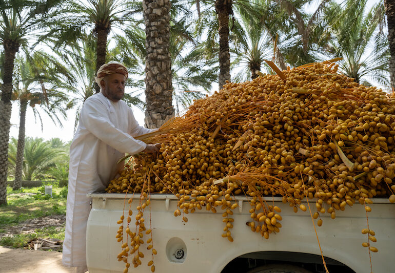 tabseel