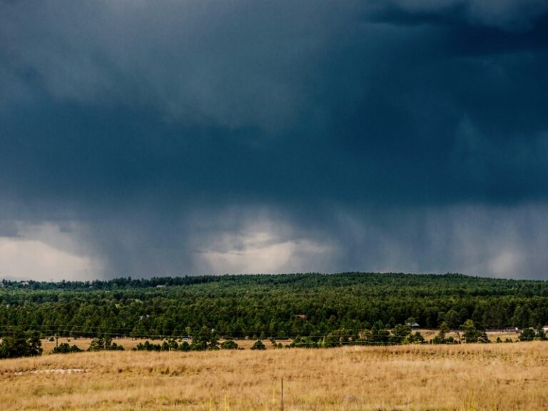 CAA forecasts scattered rain and strong downdraft winds