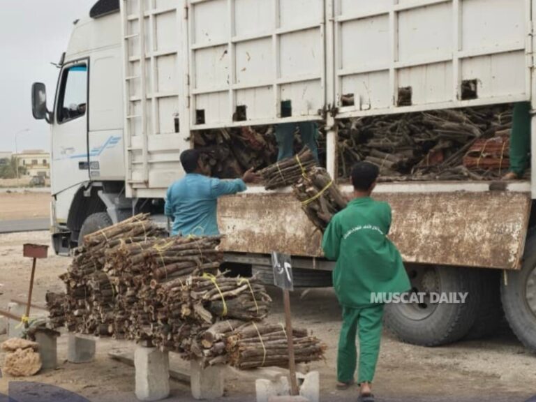 EA clarifies logging and seized wood handling procedures