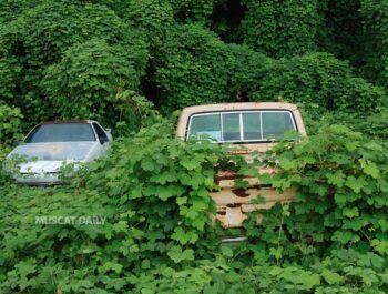 EA removes over 3,900 vehicles from green spaces