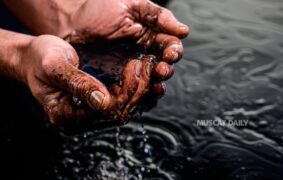 EA urges public to avoid swimming in oil spill-affected waters