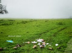 EA urges public to refrain from littering in green spaces