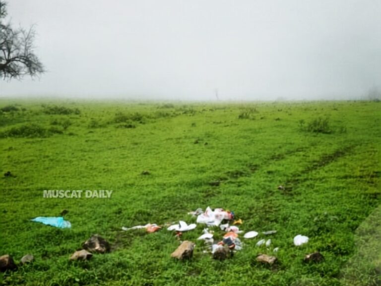 EA urges public to refrain from littering in green spaces