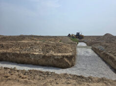 RO23.5mn Shinas shrimp farm