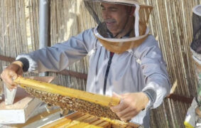 Misfat Al Abriyeen beekeeping tourism