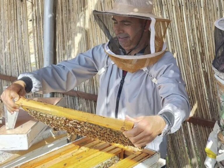 Misfat Al Abriyeen beekeeping tourism