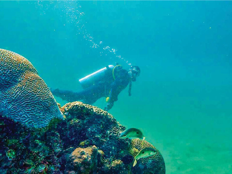 Musandam campaign removes ghost nets from coral reefs