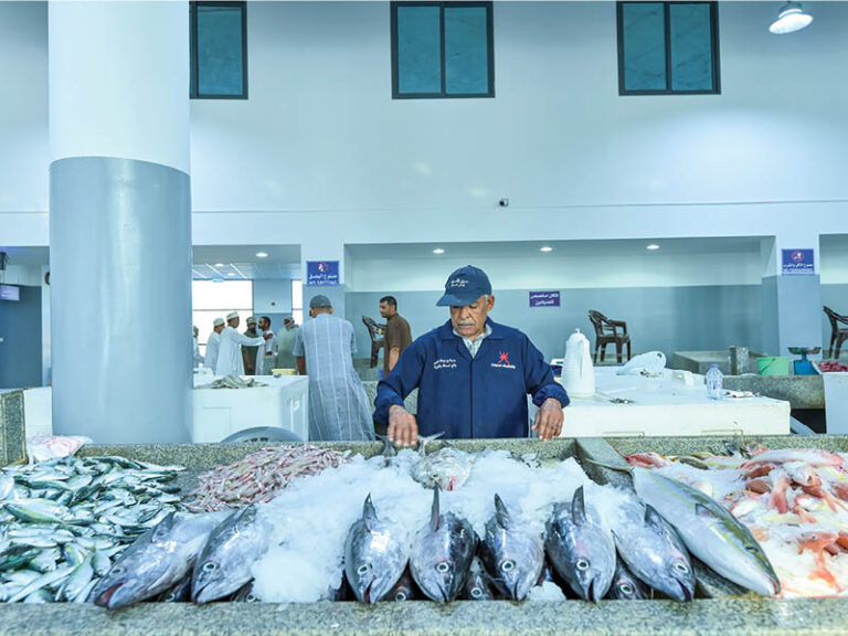 Agriculture and fisheries economy grows 6.1%