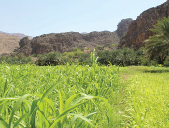 Yasab village Oman