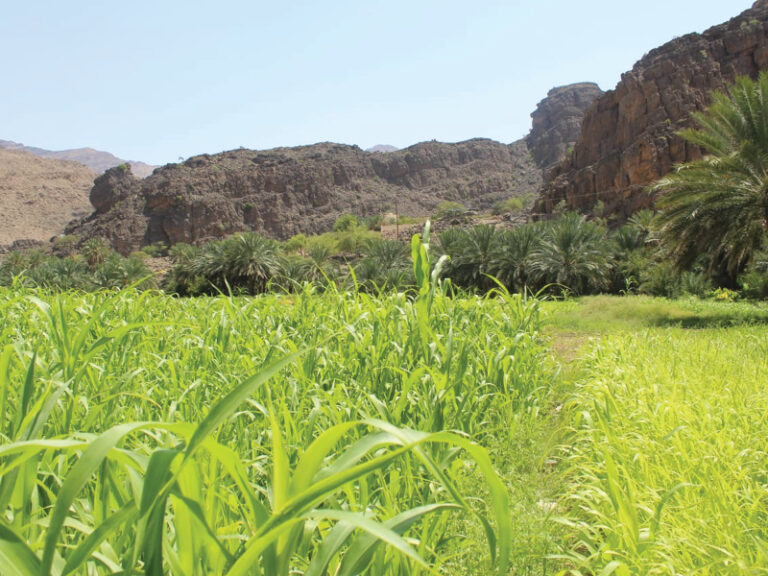 Yasab village Oman