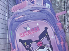 CPA seizes 1,236 non-compliant school products in Muscat