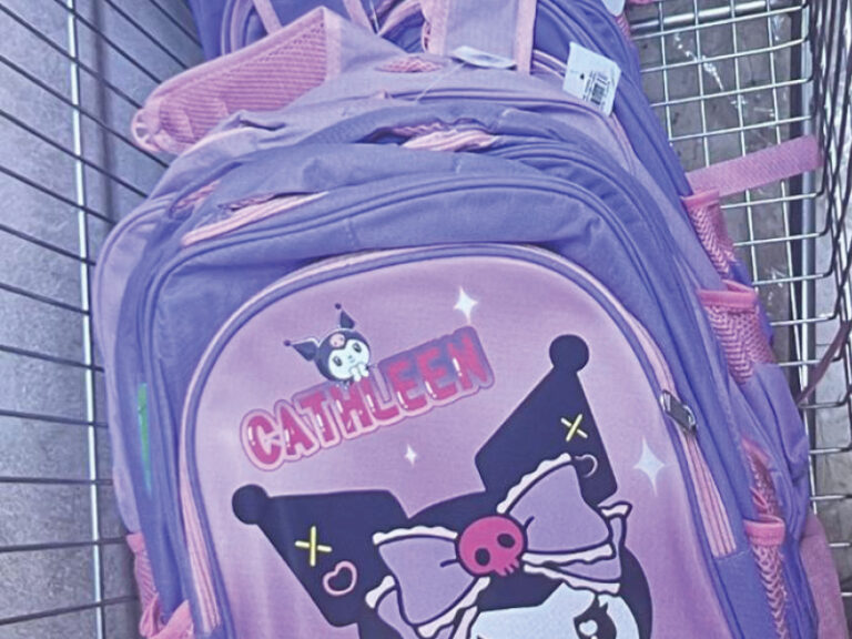 CPA seizes 1,236 non-compliant school products in Muscat