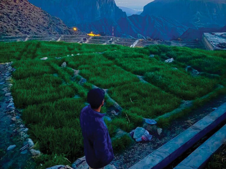 Switching off: How nature is helping Omani youth reset