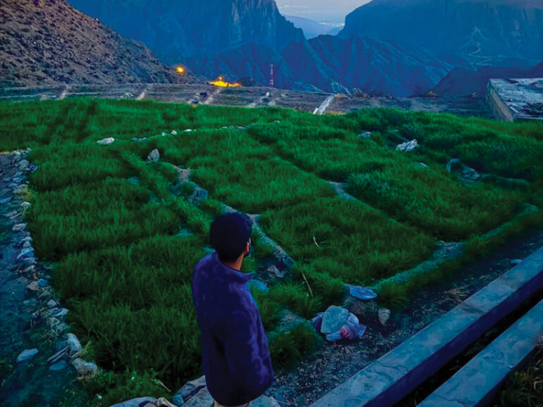 Switching off: How nature is helping Omani youth reset