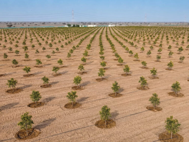 RO51mn investments strengthen South Batinah food production