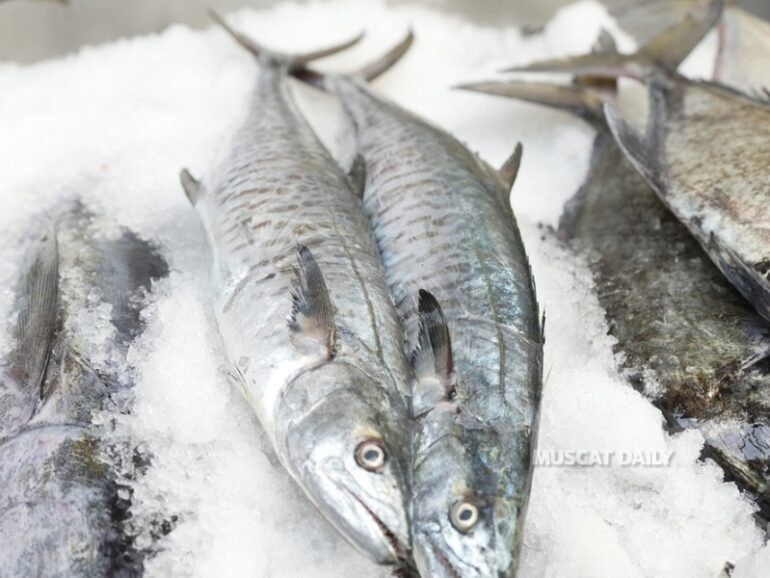 Ministry announces annual kingfish fishing ban across Oman