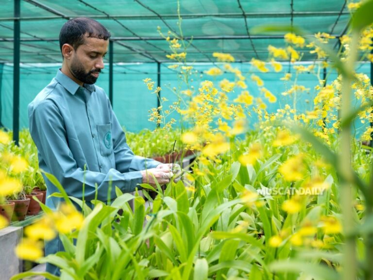 Royal Gardens and Farms cultivates orchids after years of research
