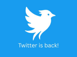 Startup Operation Bluebird launches Twitter.now,